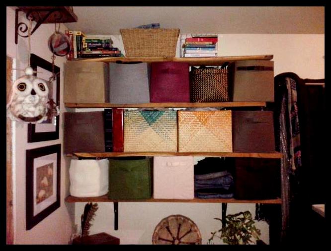 Blog- Shelf
