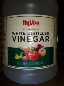 Blog- Vinegar