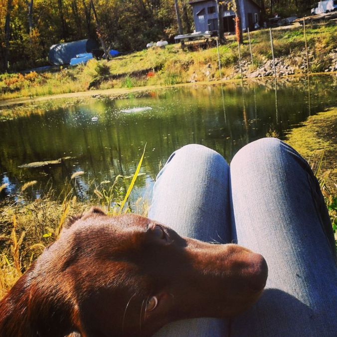 Sweet Pete - https://walkininthewoods.wordpress.com