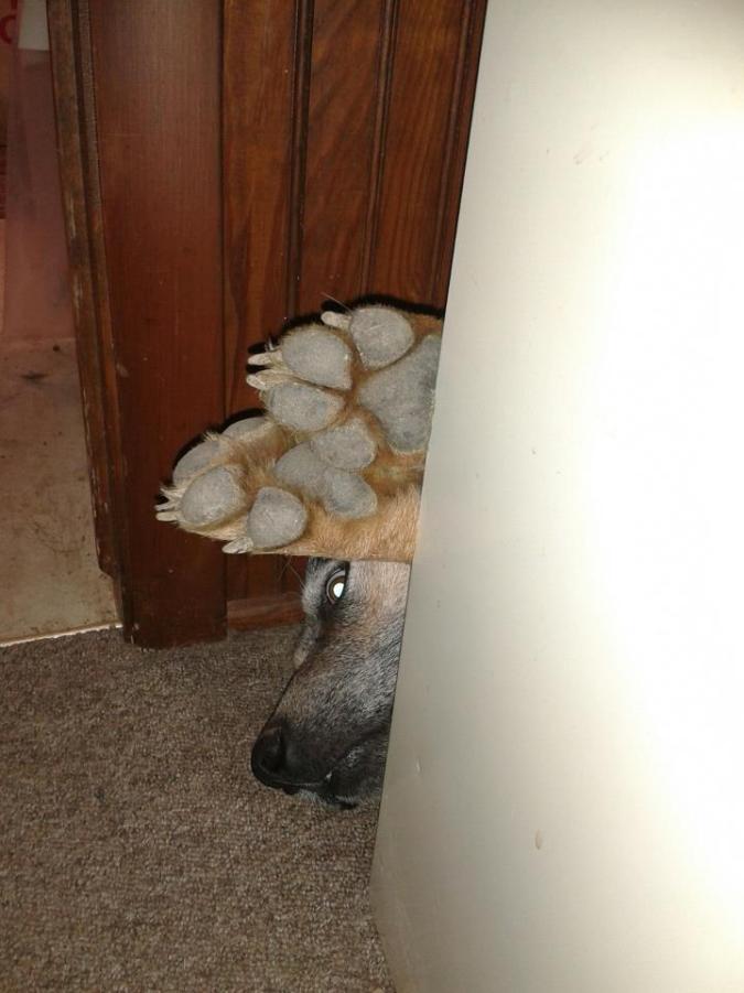 Getting cozy behind my desk.